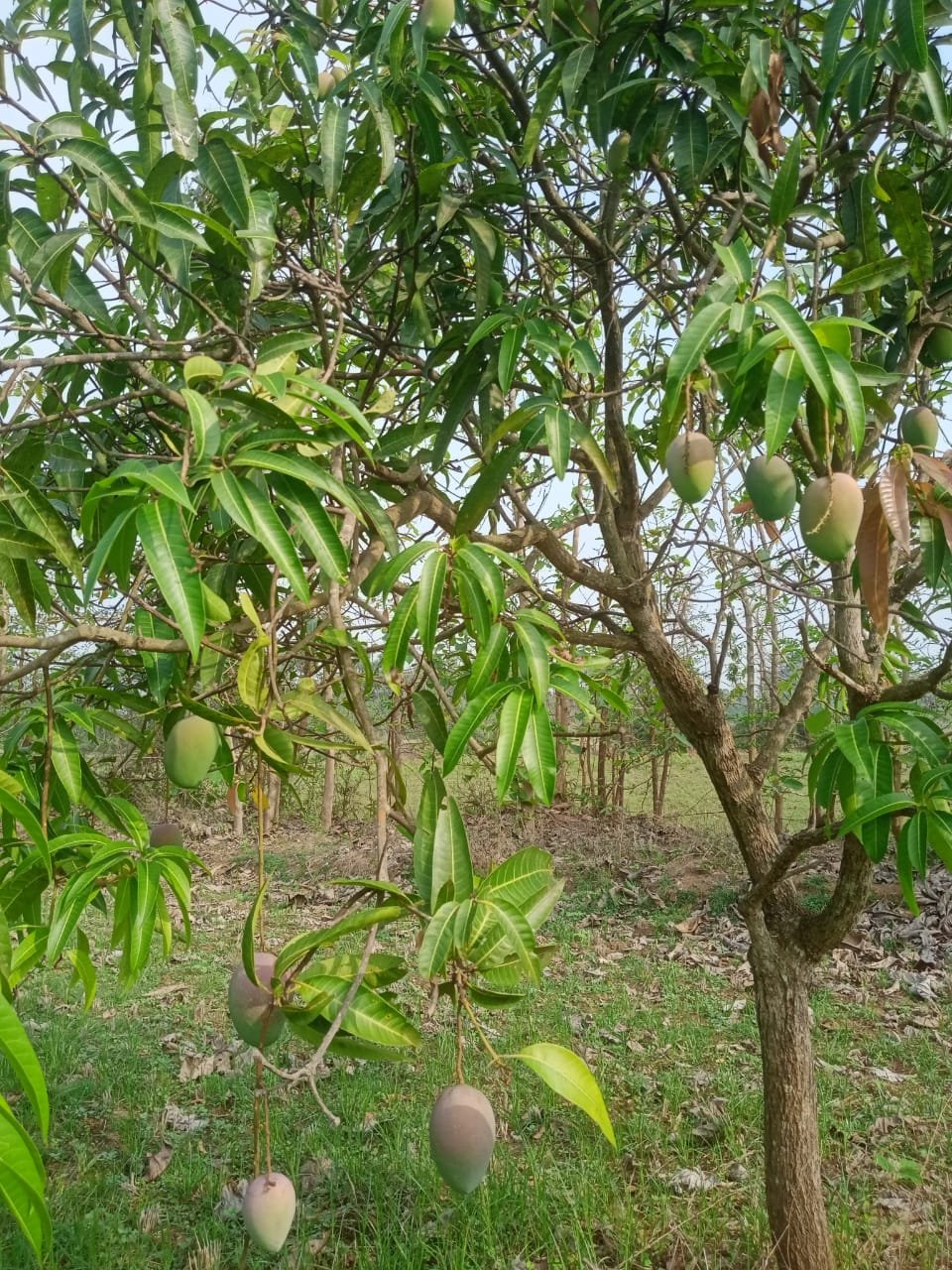 38f5db89-8483-4d37-a80e-a7327d1c8192