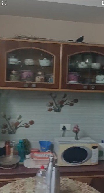 407b98b5-dc34-4998-9388-d663af91f96a