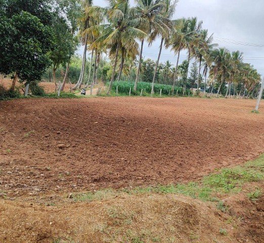 44d2e770-951f-469b-9389-421c49eb41b8