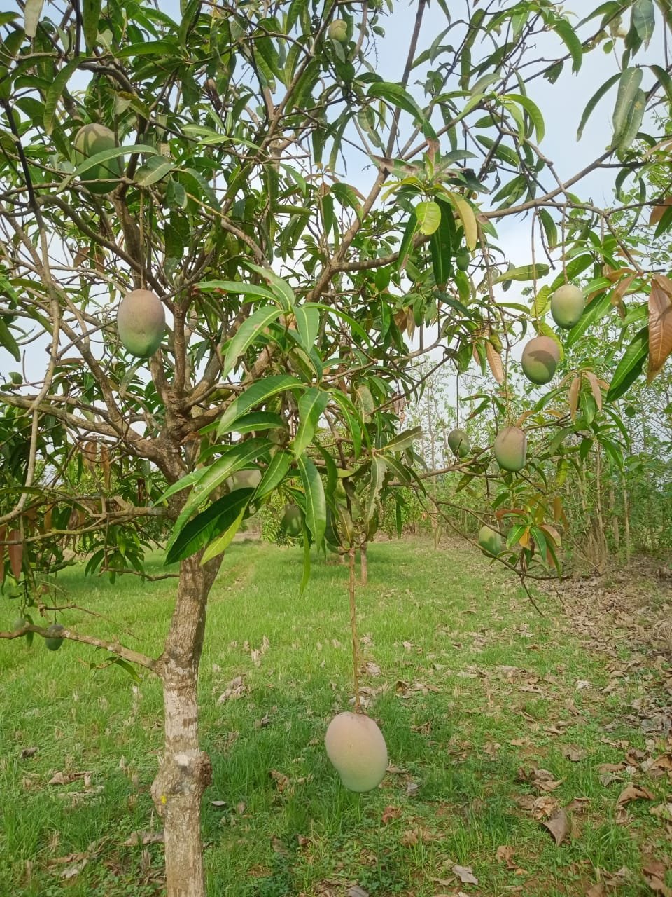 54e117d2-5976-44a7-9aee-992ec9fb6e2d