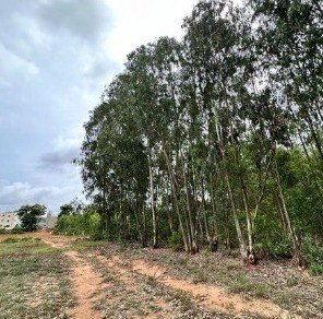 56918ae2-263a-4834-b021-7204367c0e52