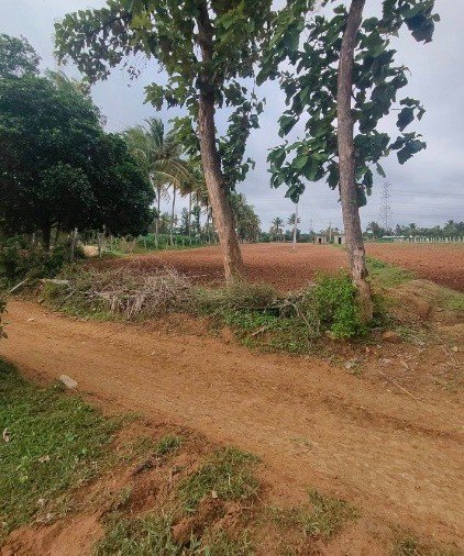 7604c017-f67c-4f38-b58a-8a8f8b3eba33