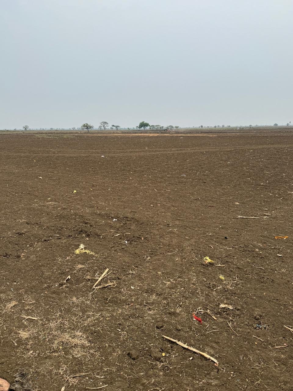 WhatsApp-Image-2024-06-11-at-15.52.18