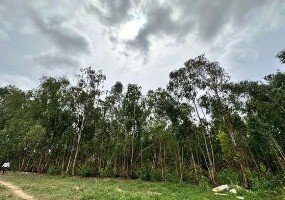 ab039117-1697-4c17-81a1-7f66bc07d4f5