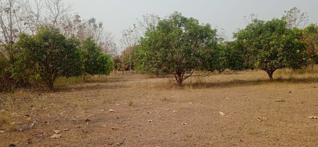 ac23e2c4-a189-4f6c-8050-e54427311793-1