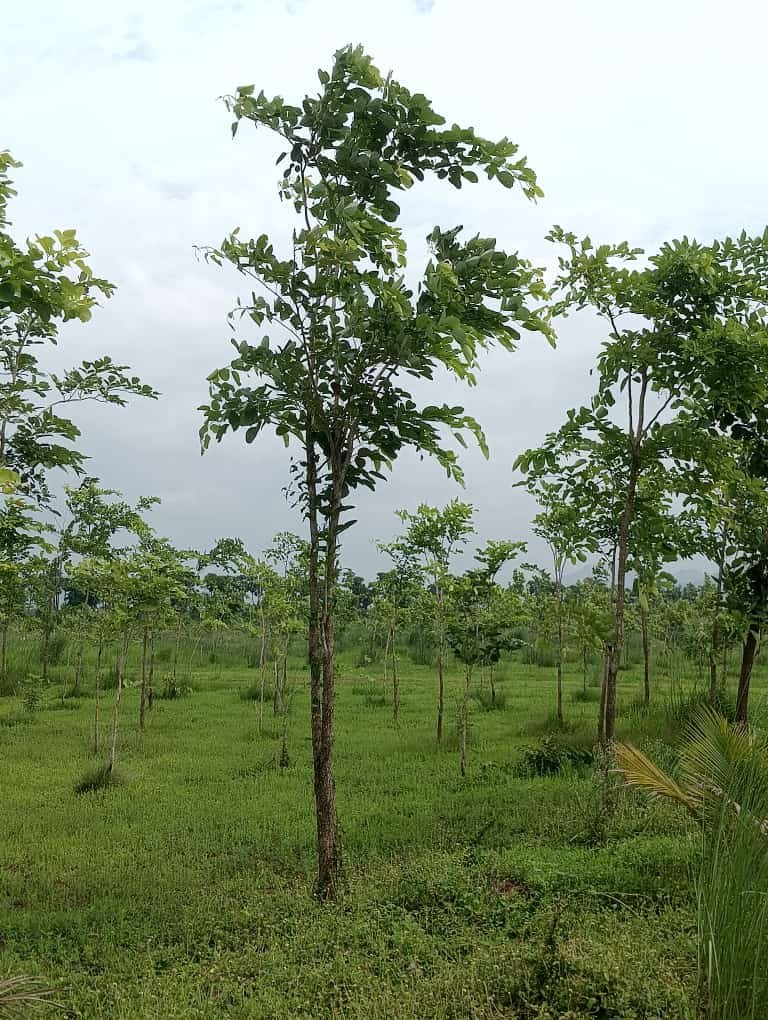 af36194d-49ad-45f9-a37b-6624f5a8ab34