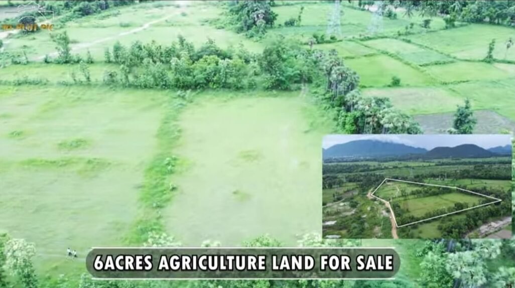 b1ba1958-4508-4598-a120-4949fce978b6