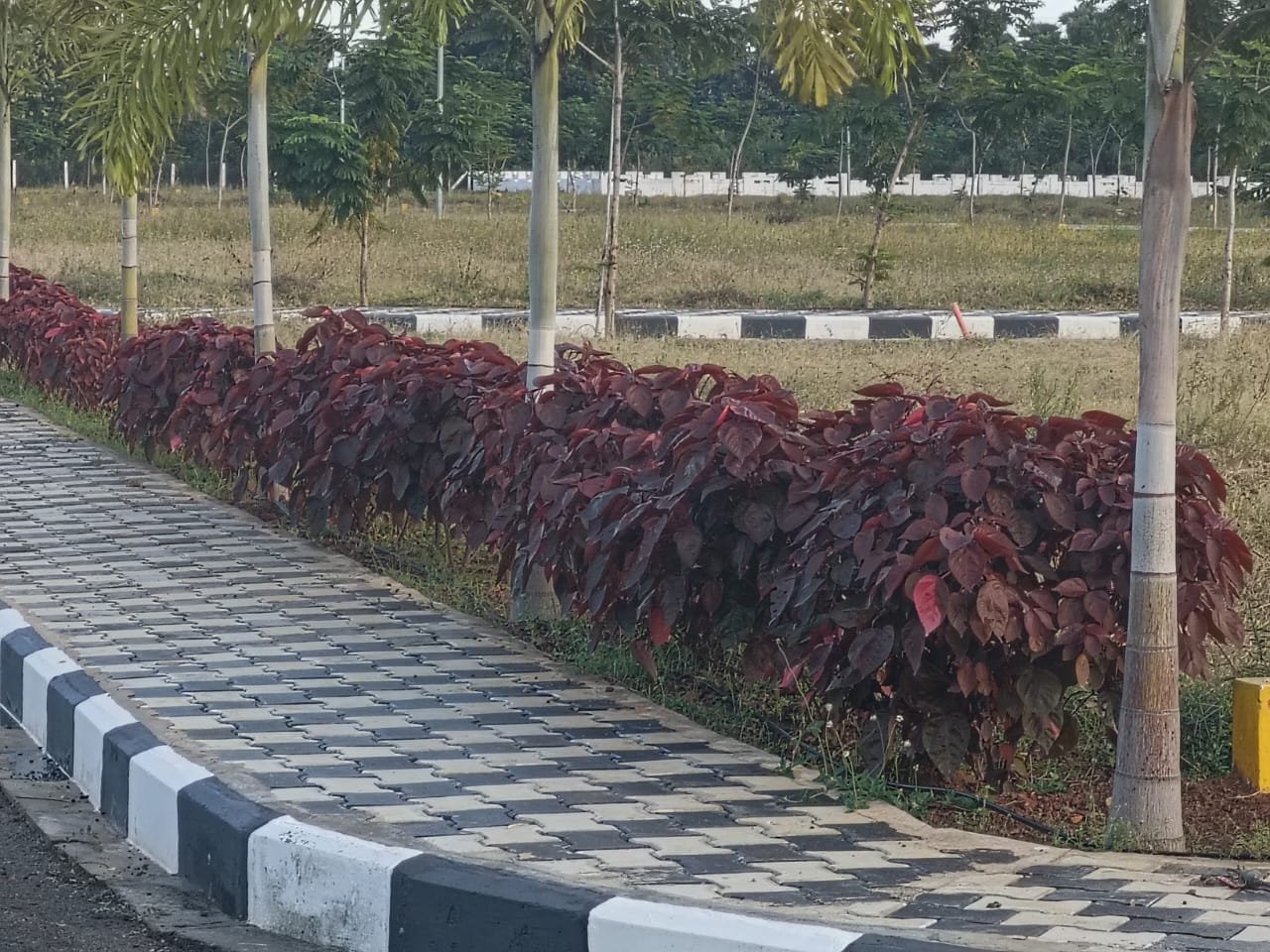 b8f7d11c-e0f6-4d9e-b564-b57317c5b34a