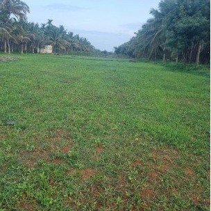 b979a269-a210-45a4-936c-85beca4d1038