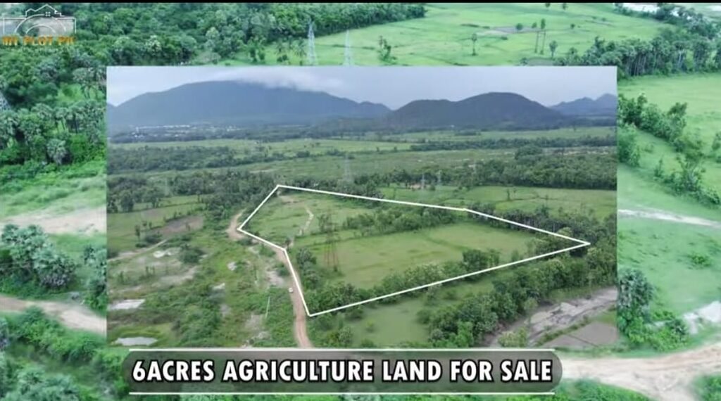 ba94fa06-4759-47e1-a94d-59f7ae558920