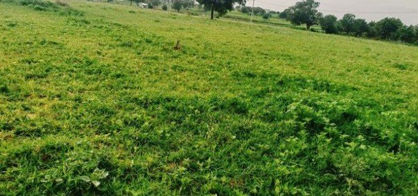 bd1b8e22-d503-4de2-b604-eebb11577766-1