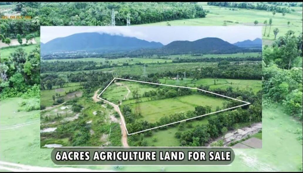 c94dba7c-f0de-41dd-91c0-295cca52cebb