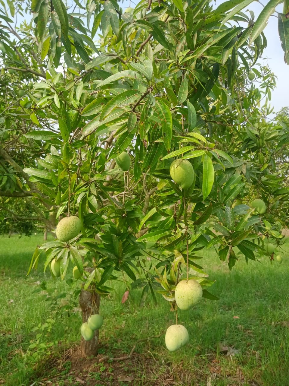 d6cfc22d-a184-49e5-901d-0a4e45e39e39