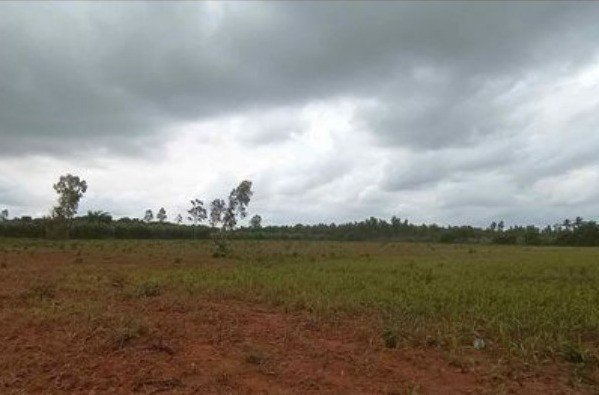 d8dcf08d-908c-4969-94ac-b3ad5dbf7f4a