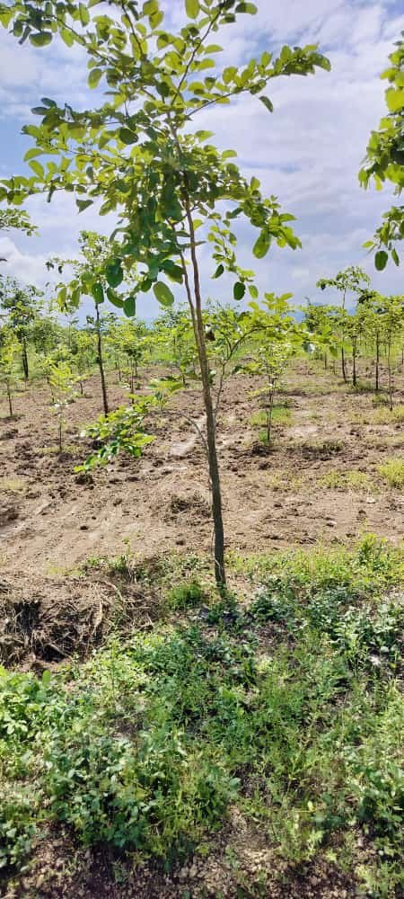 dbb418fe-2ec7-4ad9-a66b-17dd87648da4