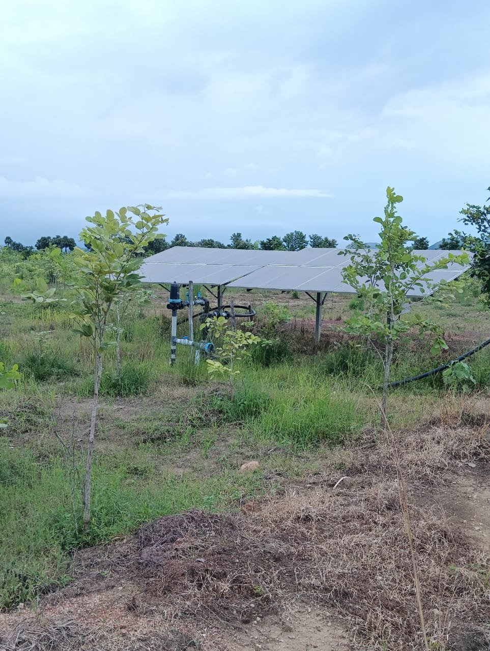 ee609bbb-8337-416d-957b-044bd7fa8d0c