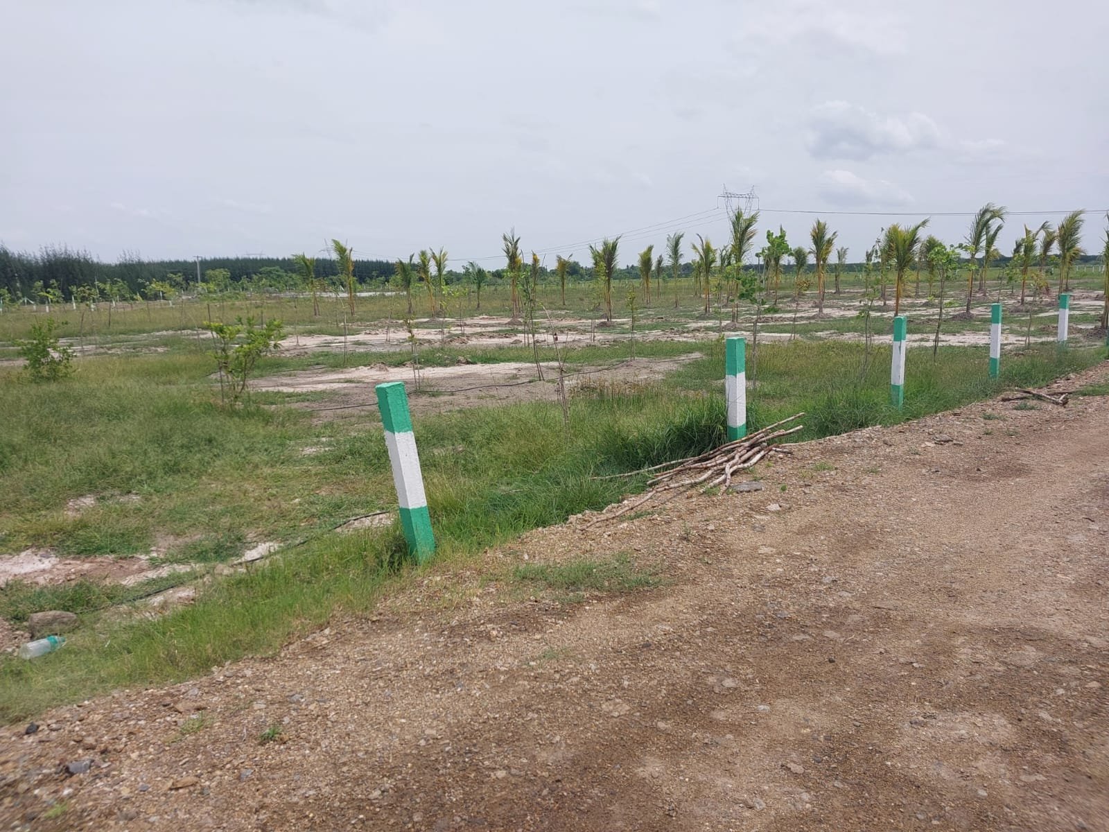 0d10ac98-e660-44b7-925b-928a737ea9b7