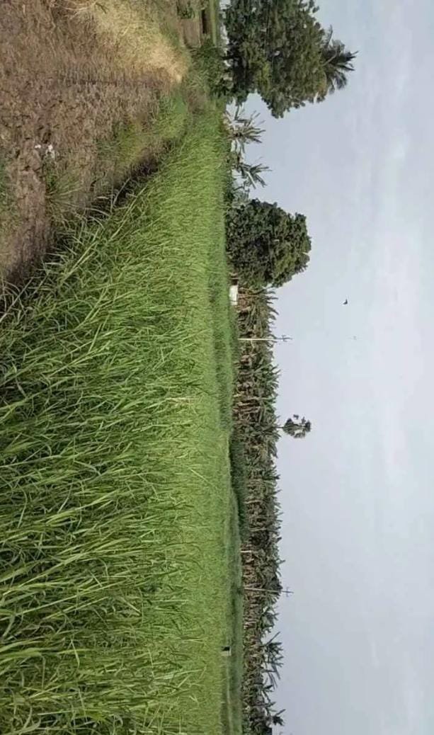 19f7e603-46e4-41ba-a477-b20dc3783b9f