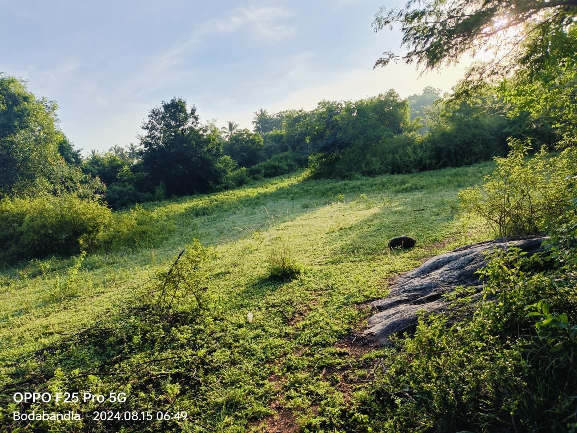 50a88a1c-4b9c-4569-bc90-af16b770fad3