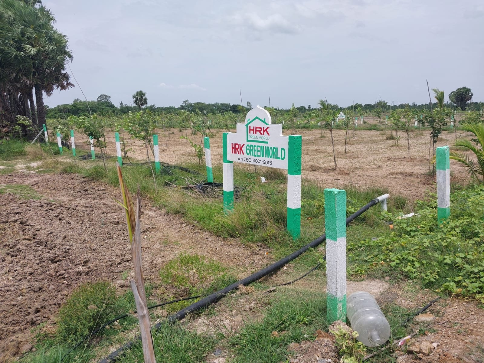 7bde74e8-6e47-4270-8679-c64c3db1e396