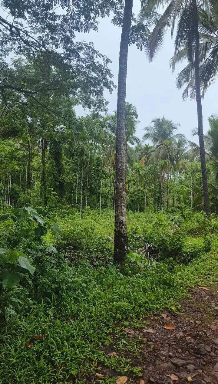 7ea75e9f-995f-47e1-b7b8-9beafecce164