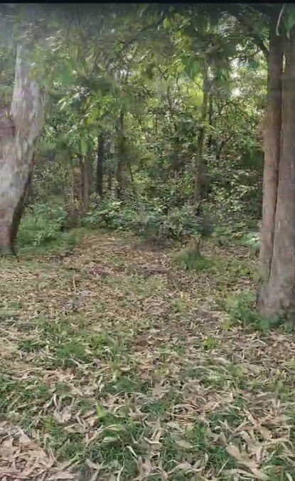 818e7f11-dbdc-4b85-a0c5-32823b4419f7