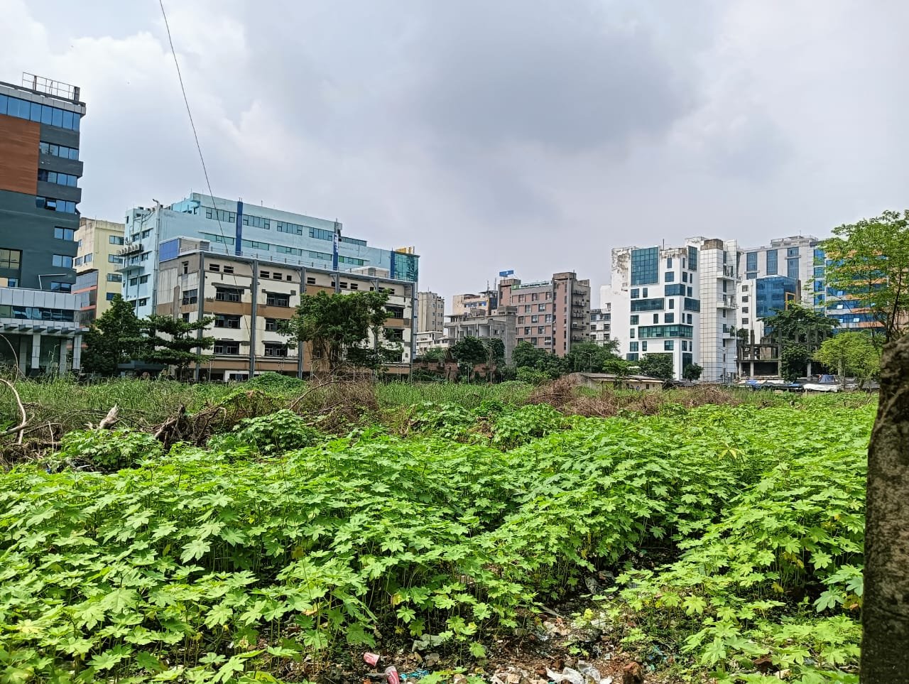 9694a109-d25b-4765-b2f2-032fef37d179