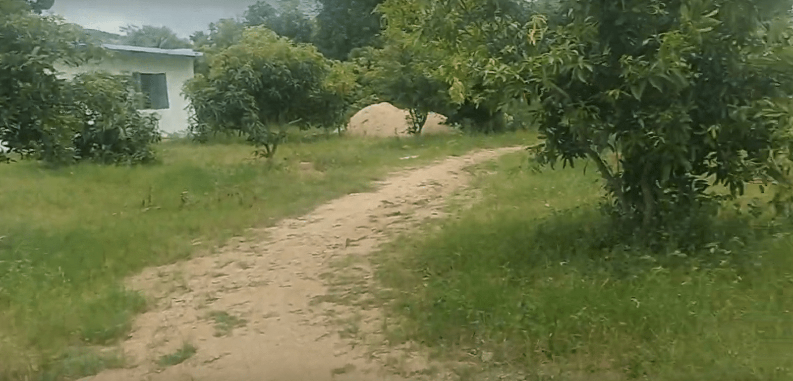 Screenshot-2024-08-26-12.04.41-1