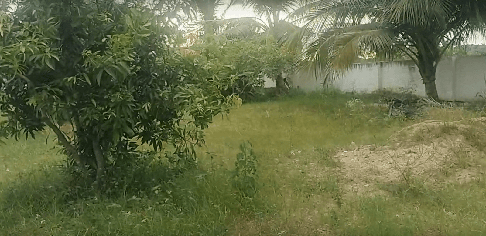 Screenshot-2024-08-26-12.04.51-1