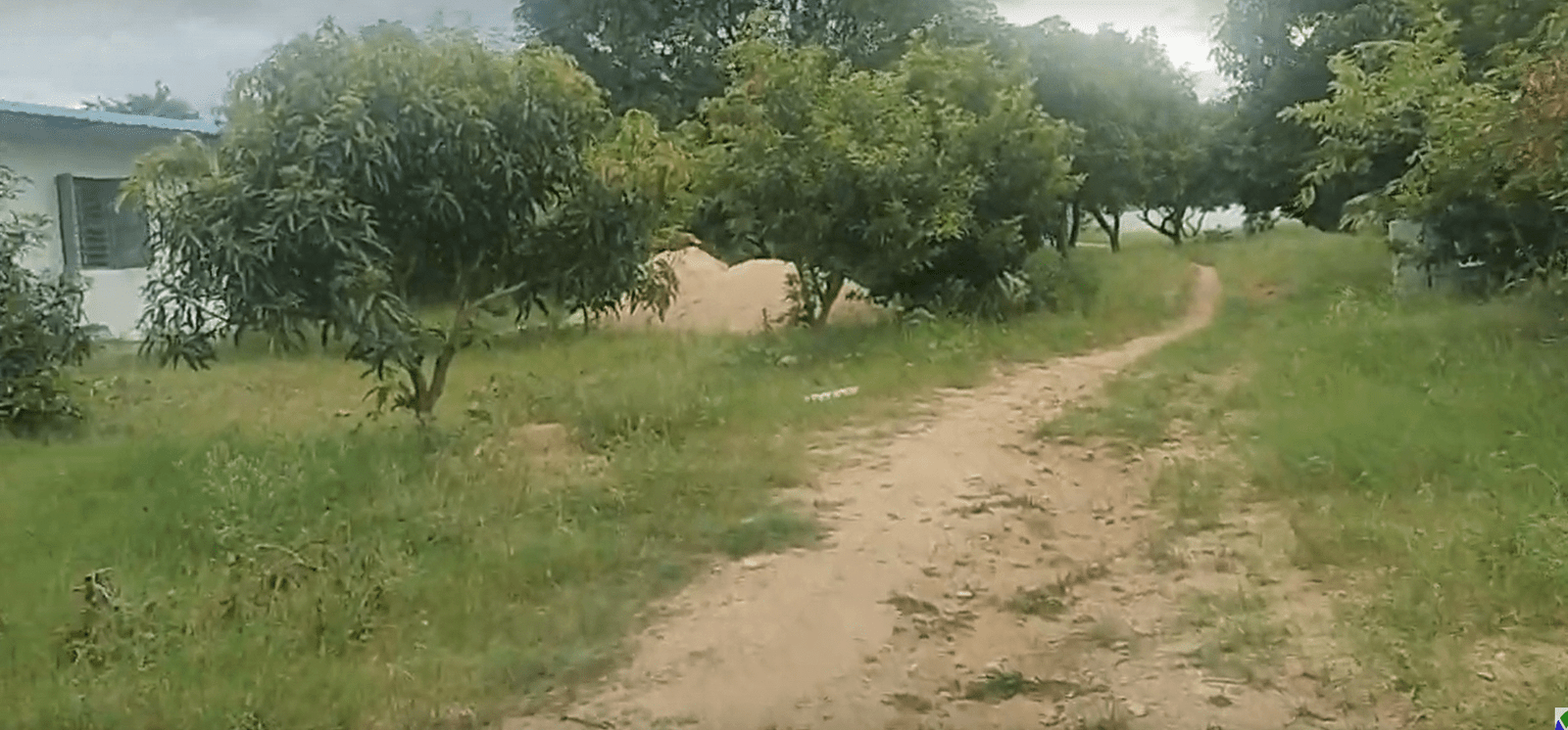 Screenshot-2024-08-26-12.05.00-1