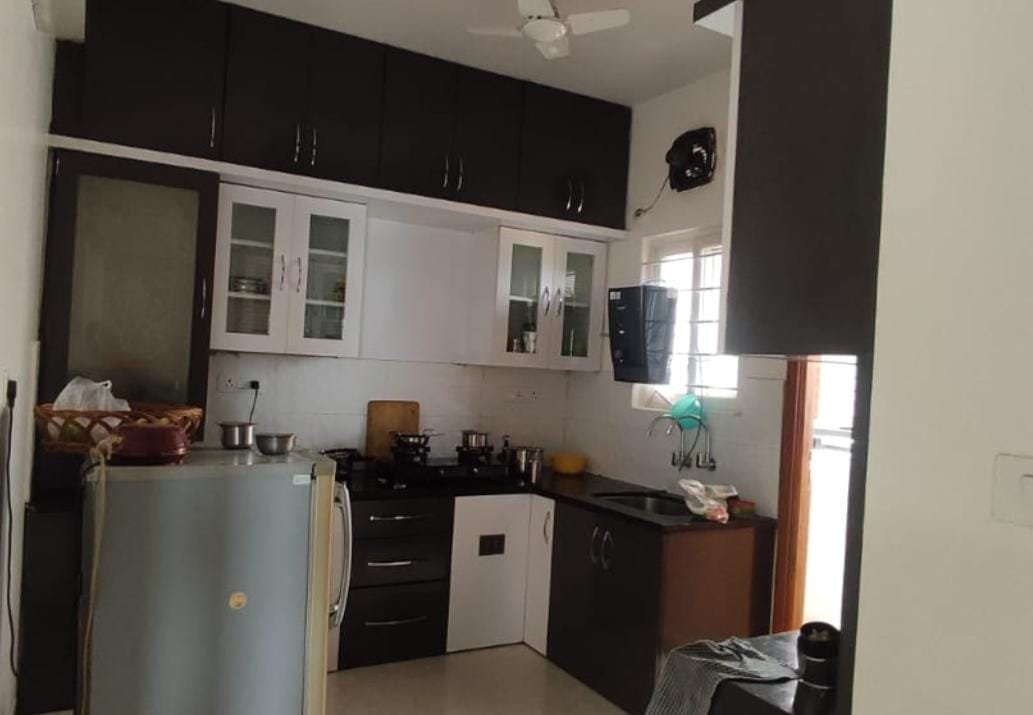 WhatsApp-Image-2024-08-26-at-11.44.47-AM