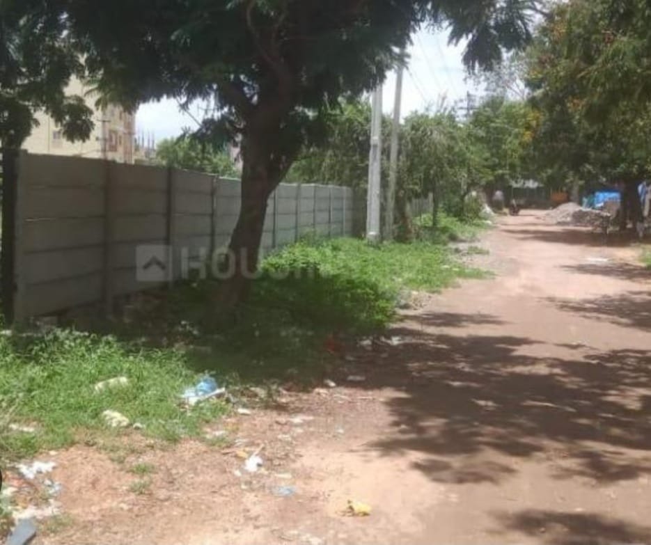 WhatsApp-Image-2024-08-26-at-3.52.24-PM