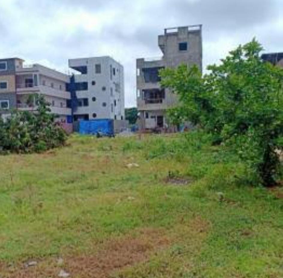 WhatsApp-Image-2024-08-28-at-2.04.02-PM