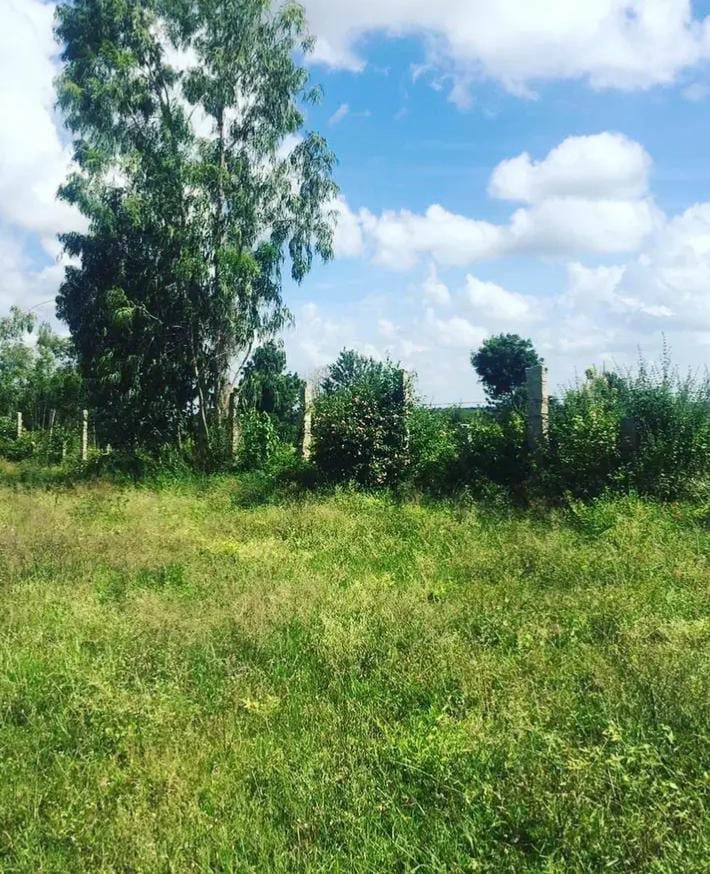 b8c5ad89-949c-4f5a-b730-192dabdfcb8c