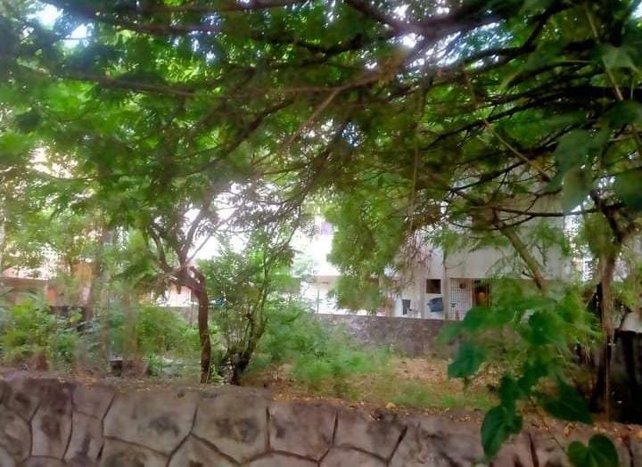 c0a07dcd-b519-4950-a90a-90b0d5bf51f1