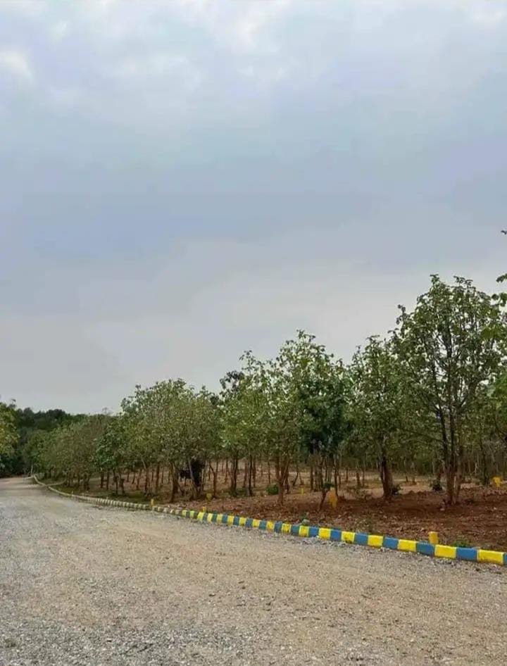 c1c96cbc-675d-4ab3-bbb1-ec69261d5257