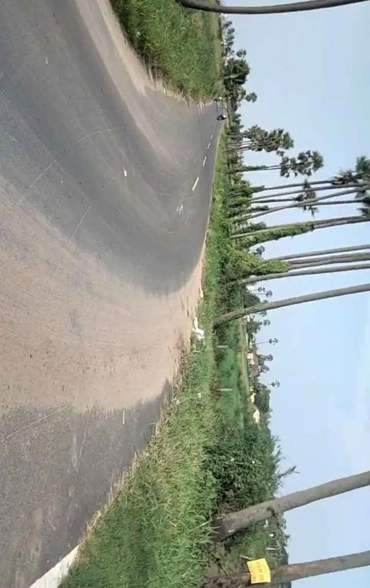 ee891df5-f2fb-49a5-a8ff-420d3f9c2acf