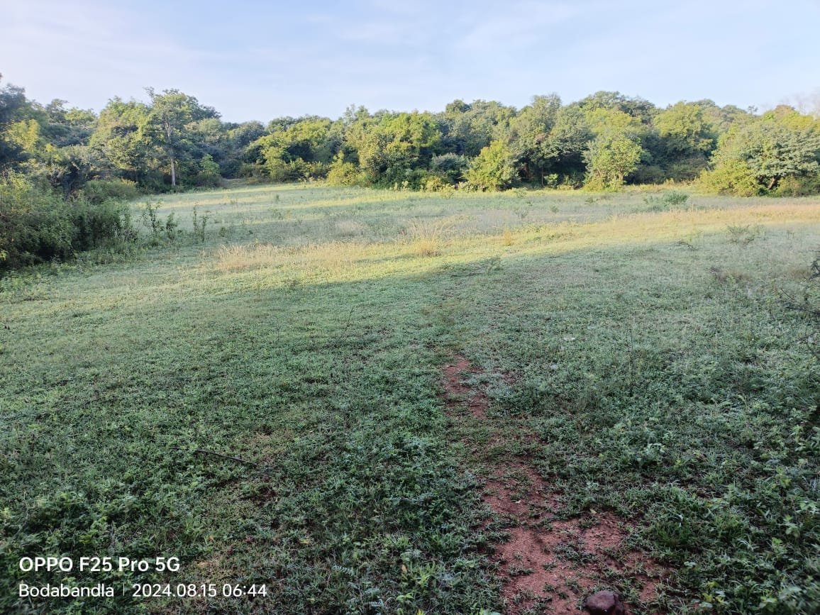 eea76559-1376-461c-9878-7f2ff0bd56fd-2