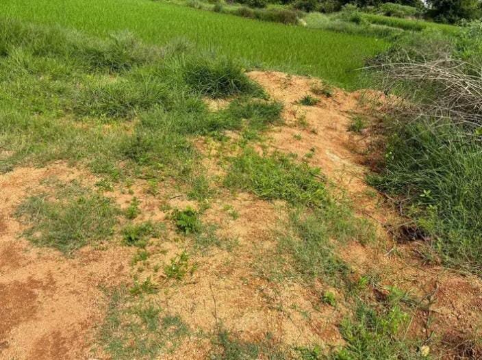 WhatsApp-Image-2024-09-02-at-2.42.30-PM