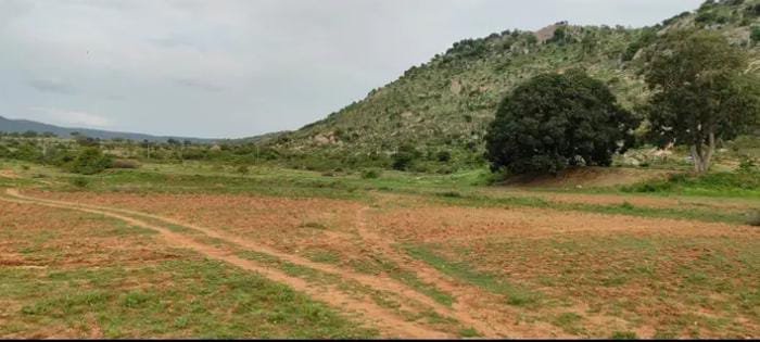 WhatsApp-Image-2024-09-02-at-2.48.13-PM