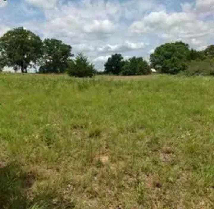 WhatsApp-Image-2024-09-02-at-3.11.42-PM