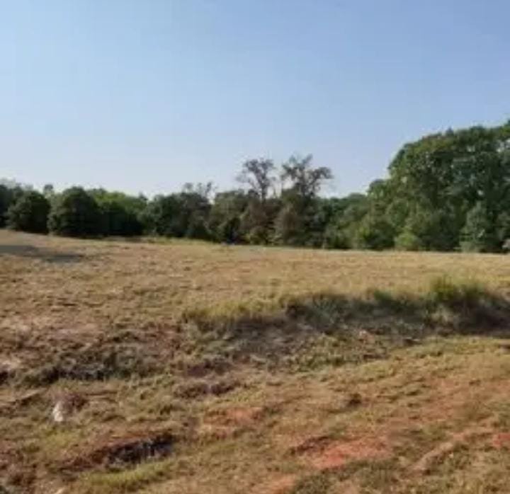 WhatsApp-Image-2024-09-02-at-3.11.43-PM