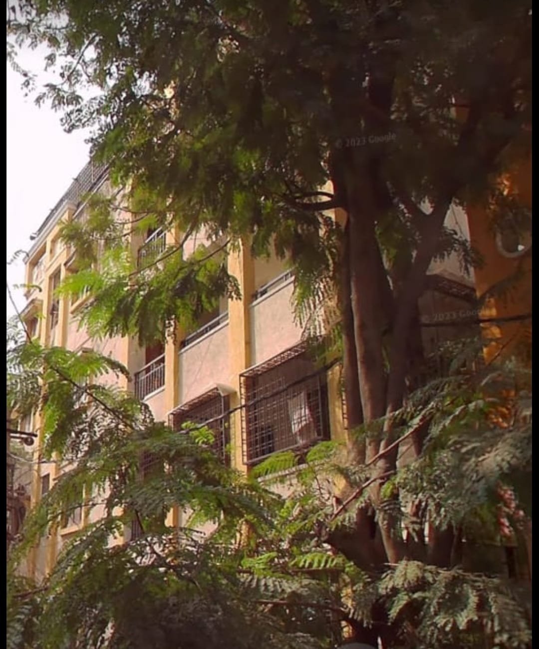 WhatsApp-Image-2024-09-02-at-6.00.45-PM-1