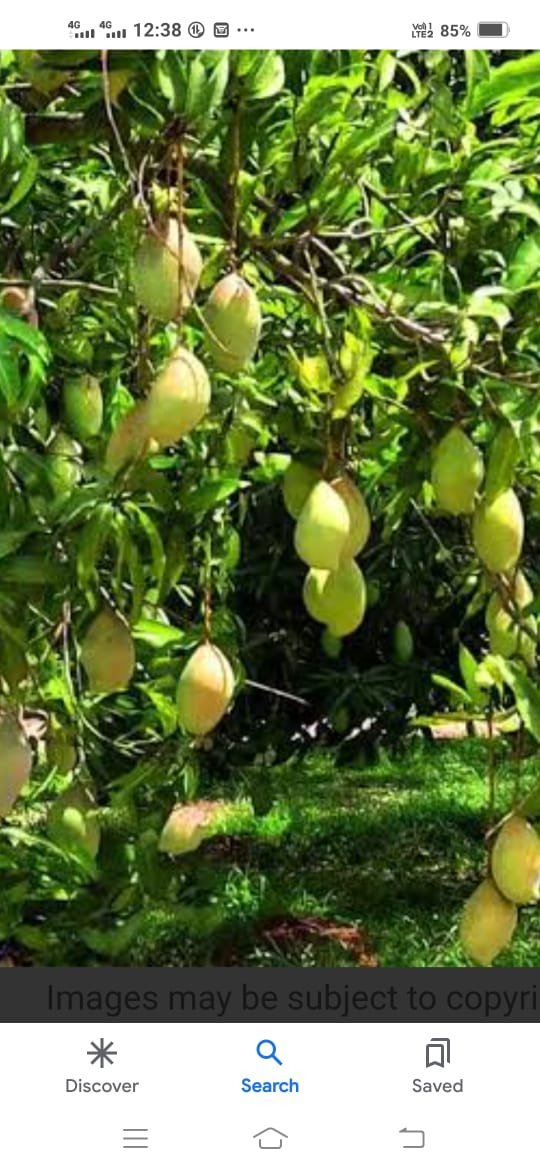 WhatsApp-Image-2024-09-05-at-5.53.50-PM