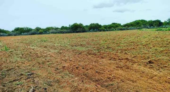 WhatsApp-Image-2024-09-09-at-10.29.36-AM-1