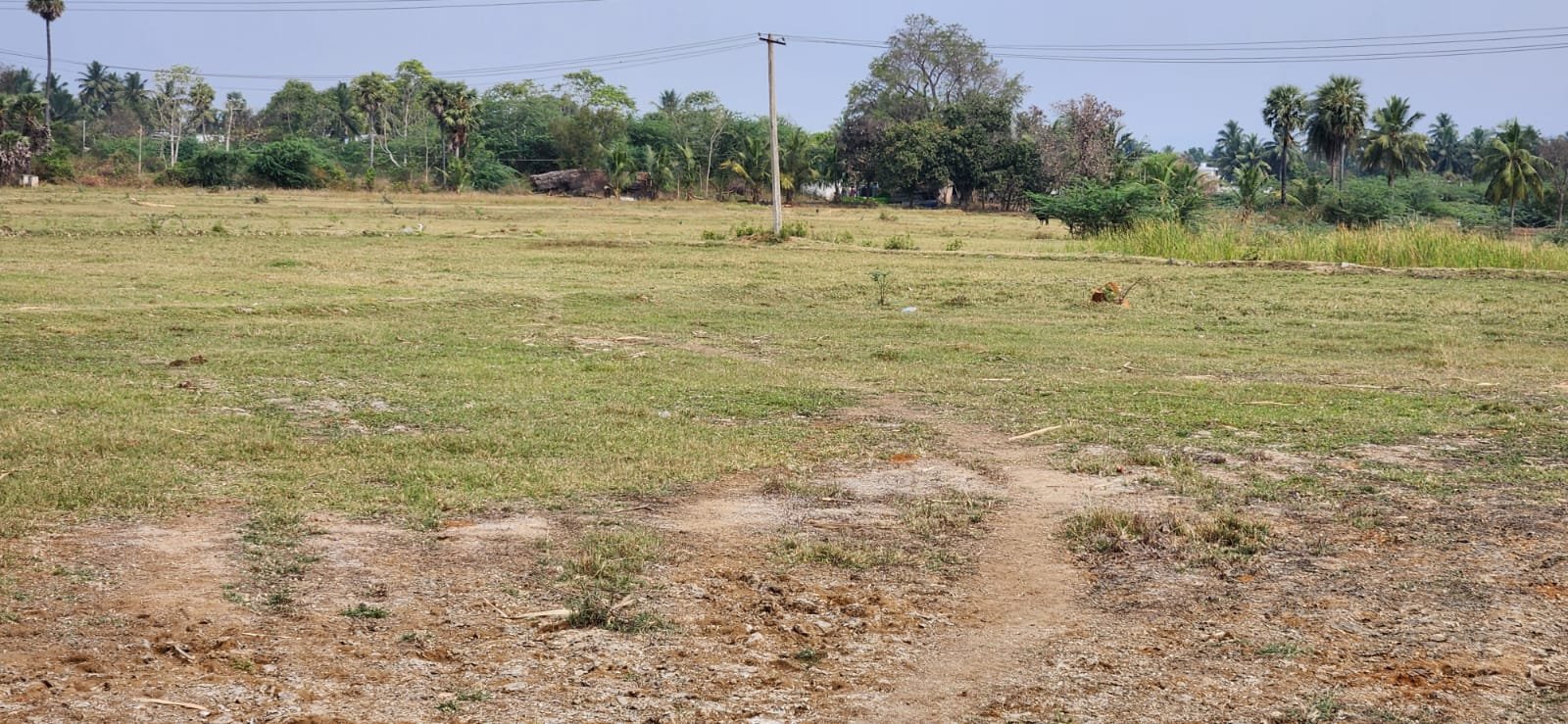 WhatsApp-Image-2024-09-11-at-3.42.55-PM-1