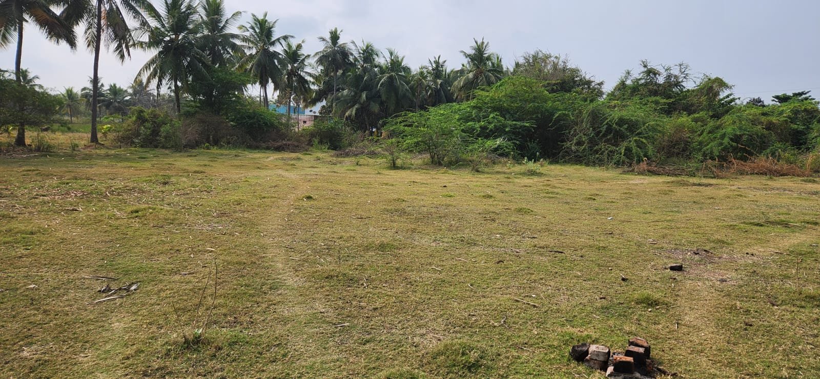 WhatsApp-Image-2024-09-11-at-3.42.55-PM