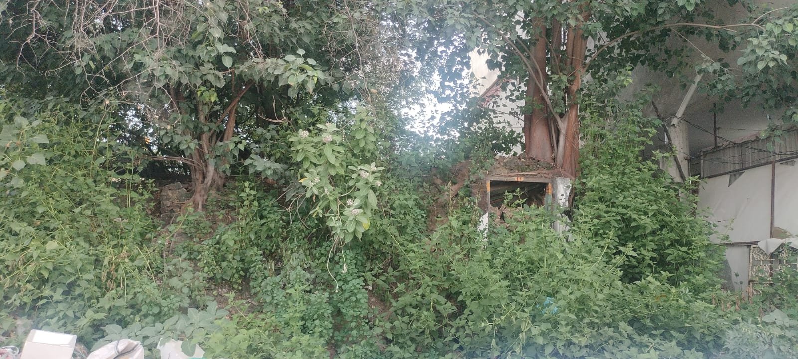 WhatsApp-Image-2024-09-18-at-12.02.18-PM