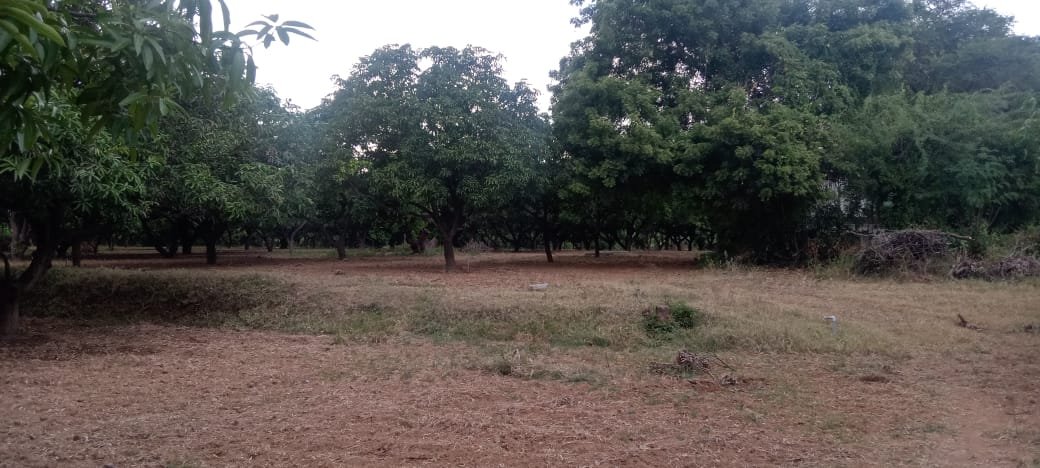 WhatsApp-Image-2024-09-20-at-5.14.04-PM