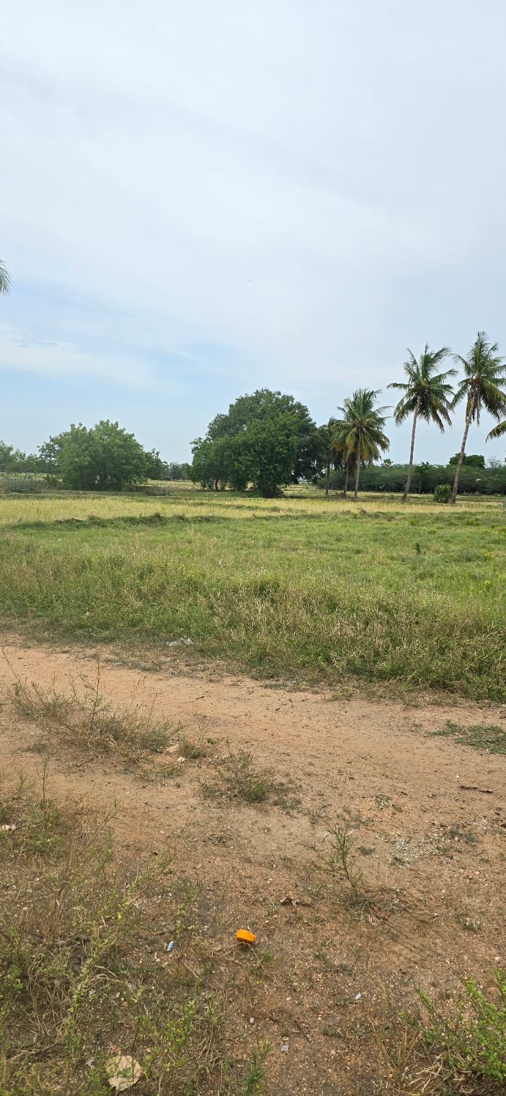 WhatsApp-Image-2024-09-24-at-11.13.58-AM